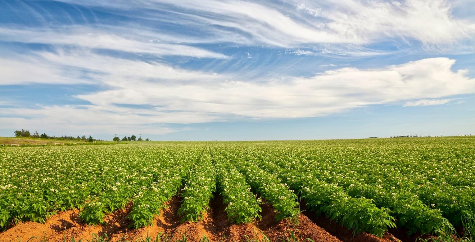 Van het veld Image