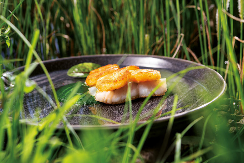 Light and summery masterpieces Image